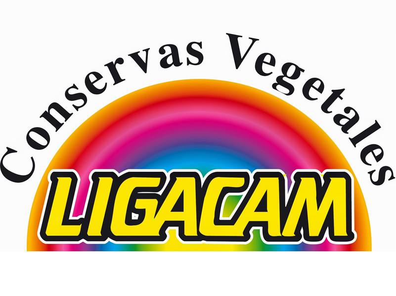 ligacam